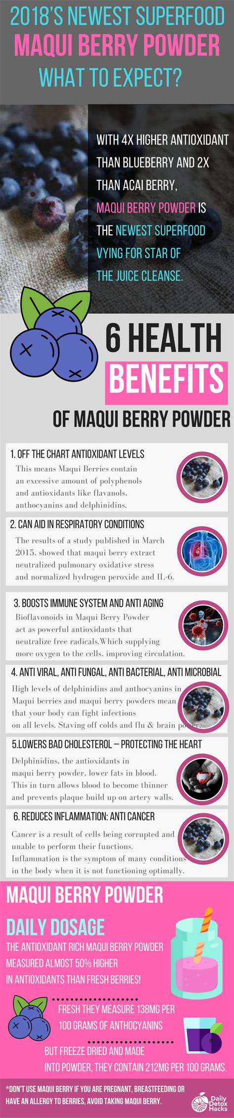 Maqui Berry: The New Super Food with Super² Health Benefits ...