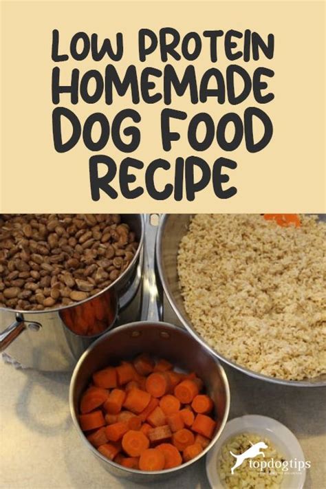 Easy Low Protein Homemade Dog Food Recipe (Step-by-Step Video) | Dog food recipes, Healthy dog ...