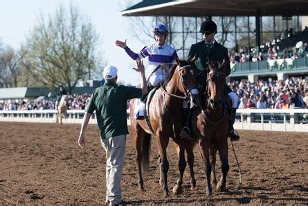 Irap - Horse Profile - BloodHorse