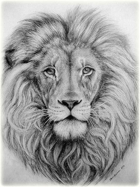 Lion's Head by ParadizeLily on DeviantArt | Lion head tattoos, Lion face drawing, Lion head drawing