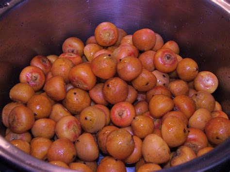 Canning Granny: I Made the Front Page! (with my Palm Fruit Jelly)