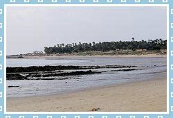 Madh Island Beach Mumbai - Attractions & Activities to do