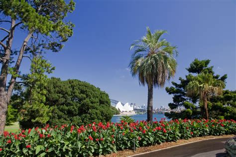 The Royal Botanic Garden Sydney - MGNSW