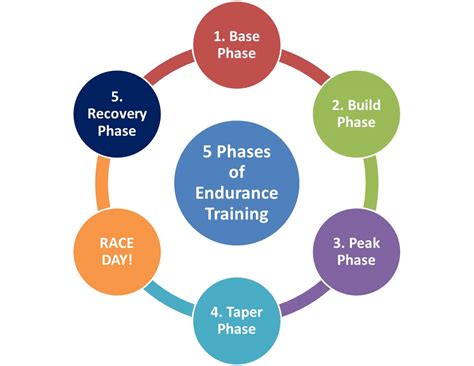 5 Phases of Endurance Training - rUnladylike