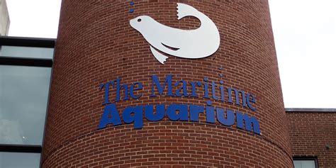 Aquarium Spotlight: The Maritime Aquarium At Norwalk