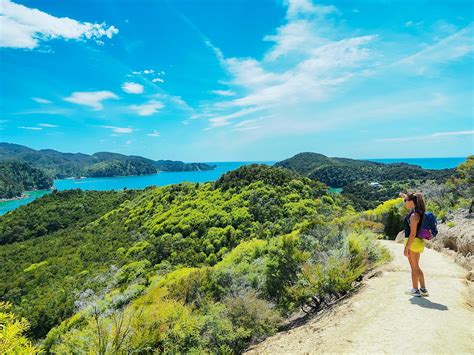 New Zealand's 11 best beaches - Lonely Planet