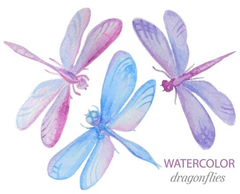 Collection of watercolor dragonflies. — Stock Vector © Natality #76901741