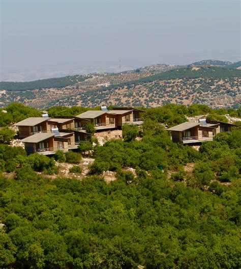 Ajloun Forest Reserve - Dream Jordan