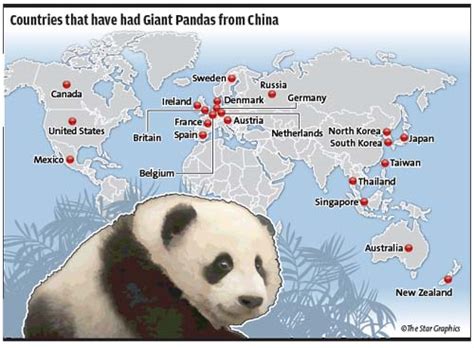 Rightways: Giant leap in relationship - Pandas World