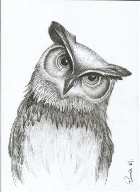 İrem 05307305195 in 2020 | Owls drawing, Pencil drawings of animals ...