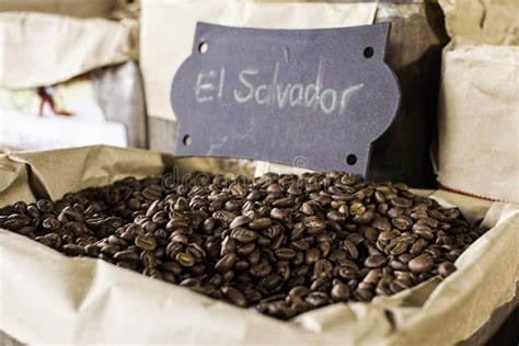 Coffee Beans El Salvador Origin Stock Image - Image of barista, smell ...