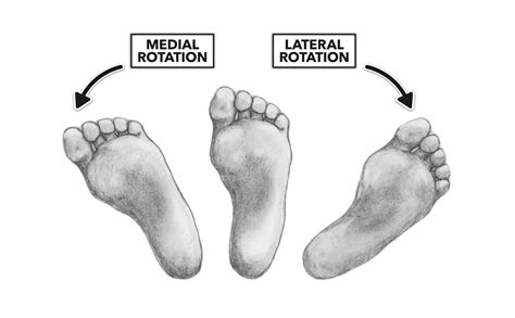 CrossFit | Movement About Joints, Part 7: The Ankle