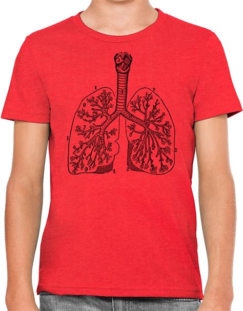 Moon Mouse Apparel Human Lungs Diagram Kids Unisex Youth - Etsy