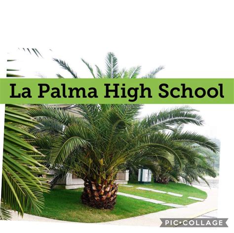 La Palma High School Alumni