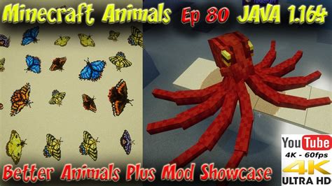 Better Animals Plus Mod Animal Showcase Minecraft 1.16.5 4k 60FPS Animals in Minecraft Ep80 ...