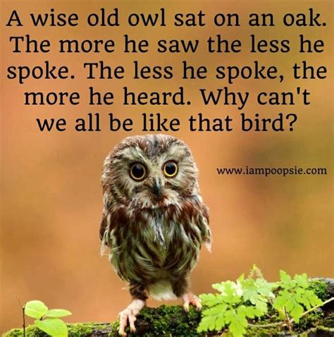 Wise Owl Quotes Sayings. QuotesGram