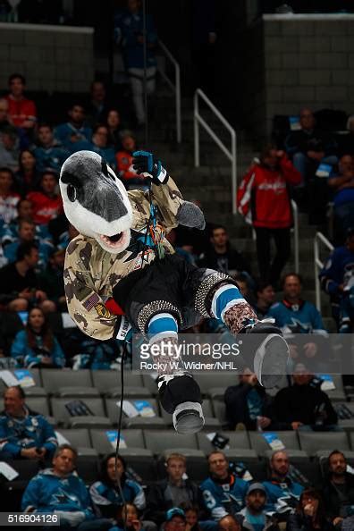 San Jose Sharks mascot S.J. Sharkie repels down the rafters prior to ...