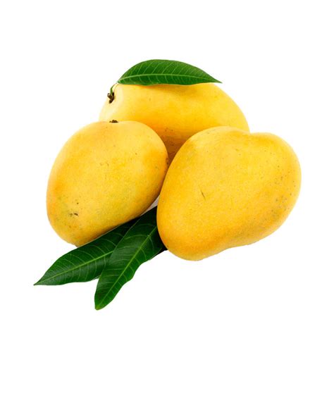 Alphonso Mango 500G - Alivia Mart Qatar