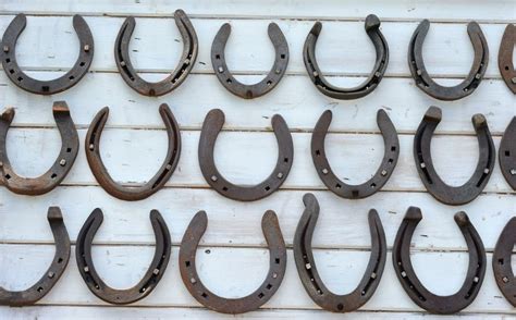 Different Types of Horseshoes | Ranvet