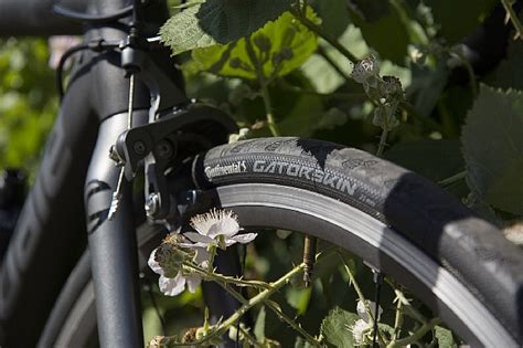 Continental Gatorskin Black Edition 700c Road Tire