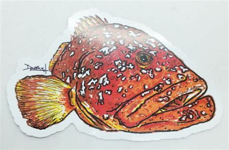 Strawberry Grouper Sticker - Etsy