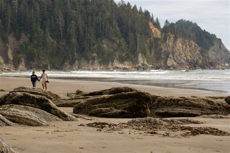 Free 2016 New Year’s Day Hikes @ Oregon State Parks | Coast, Columbia ...