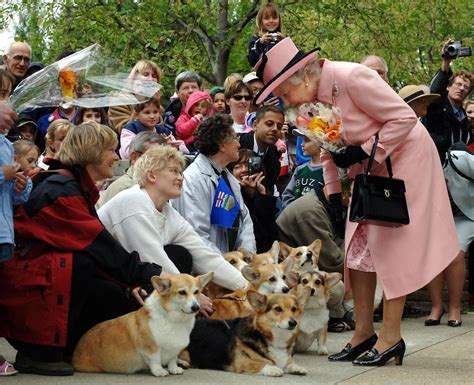 Queen Elizabeth II gets two new corgis amid Harry-Meghan crisis - The Washington Post