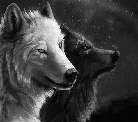 spirit wolves - Wolf lovers place Wallpaper (41583898) - Fanpop