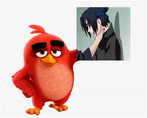 Red Angry Bird Meme