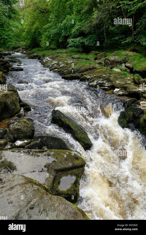 Bolton Strid Underwater - Welcome Here It Is Folks My Definitive Ranking Of My / This is the ...