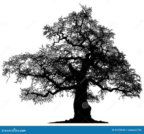 Silhouette of a lone tree stock illustration. Illustration of shape ...