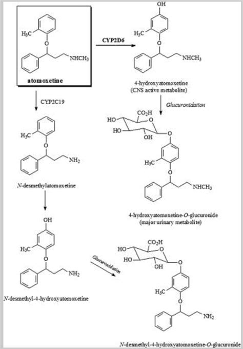 Atomoxetine - BioPharma Notes