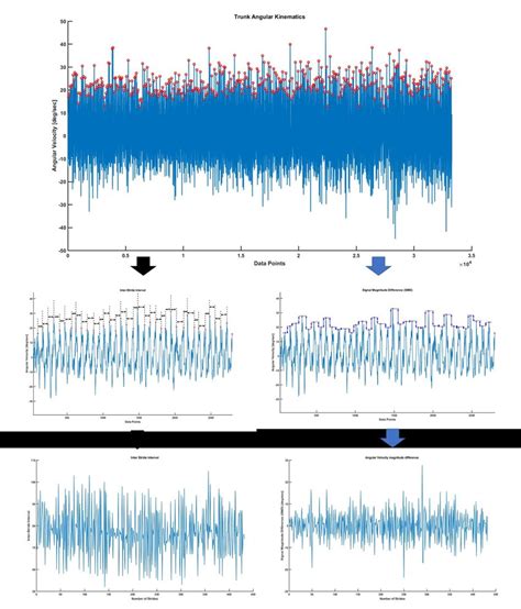 Schematic diagram of derivation of SID and SMD time series from angular... | Download Scientific ...