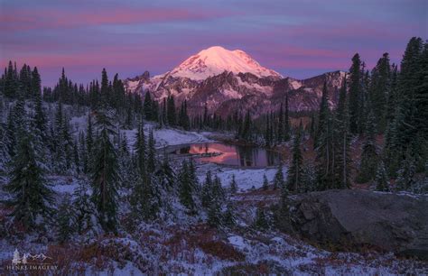 Fade Into Winter | Mount Rainier National Park, Washington | Henke Imagery