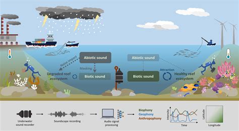 Using Soundscapes to Assess Changes in Coral Reef Social-Ecological ...