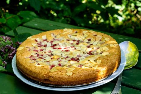 A most popular red currant cake (easy summer cake) – Swedish Spoon