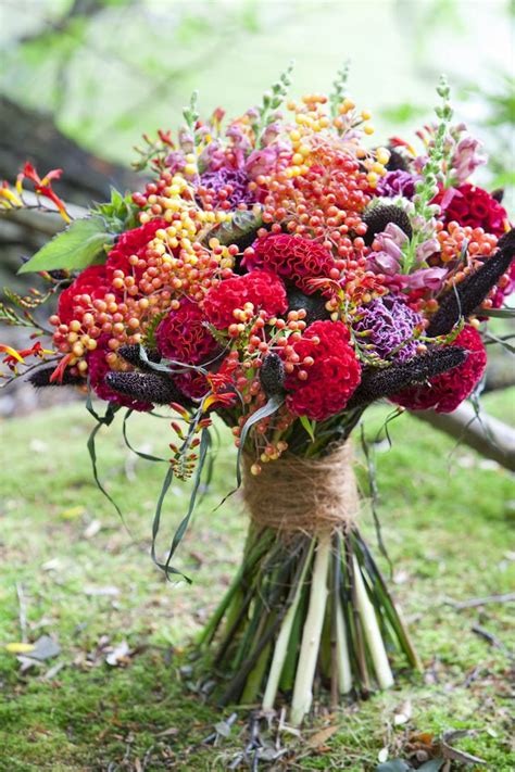 46 best images about Celosia arrangements on Pinterest | Flower, Florists and Spring wedding flowers