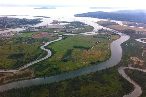 5 Lovely Reasons Why We “Heart Estuaries” | NOAA Fisheries