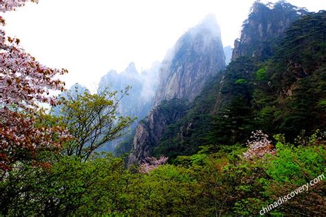 Huangshan Weather and Climate, Best Time to Visit Huangshan (Yellow Mountain) 2025