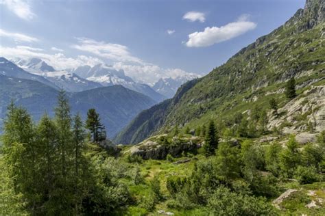 Switzerland Alps Free Stock Photo - Public Domain Pictures