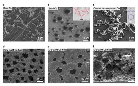 Lithium metal batteries that perform well at low temperatures