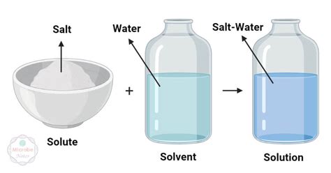 Solute vs Solvent- Definition, 9 Major Differences, Examples