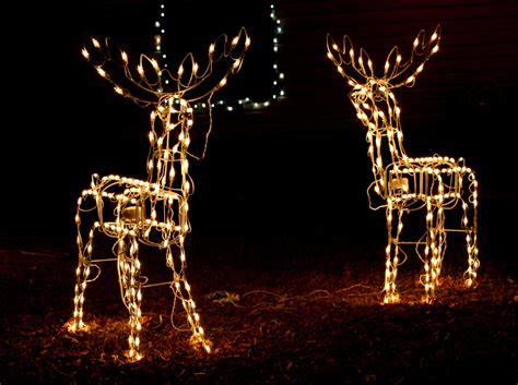 Reindeer with Christmas Light | Xmasblor