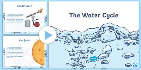 Facts About The Water Cycle PowerPoint KS2 Primary Resources