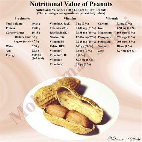 Nutritional Value of Peanuts #Peanut #Peanuts #NutritionalValue #Nuts # ...