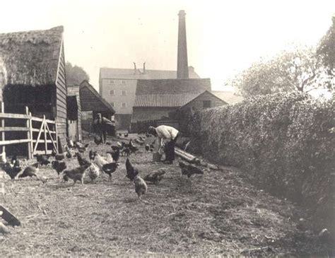 Bexley Mill, Bexley Village, c. 1920 | Bexley Galleries | Bexley village, Historical london ...