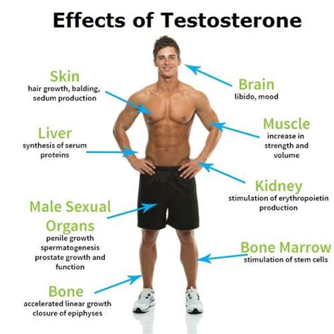 Low Testosterone