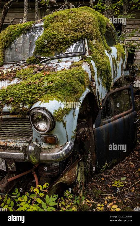 hidden car cemetry, Bastnaes, Sweden Stock Photo - Alamy