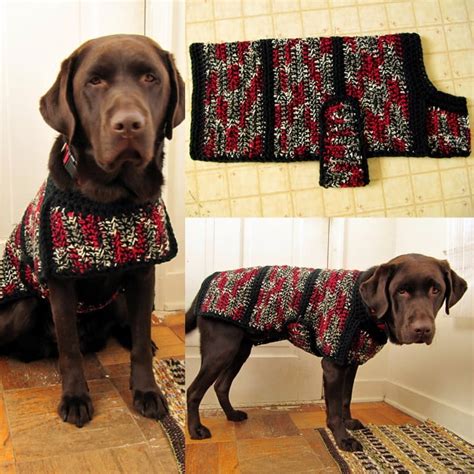 Large Dog Sweater Crochet Pattern