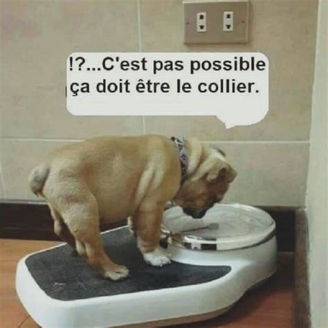 C'est pas possible je suis pas gros ... C'est pas possible je suis pas gros . . Suivez-nous ...